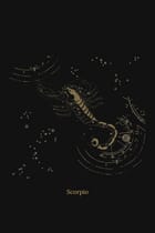 Zuben Zodiac Black Handwoven Embroidered Saree view 19