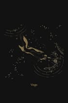 Zuben Zodiac Black Handwoven Embroidered Saree view 20