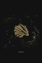 Zuben Zodiac Black Handwoven Embroidered Saree view 21