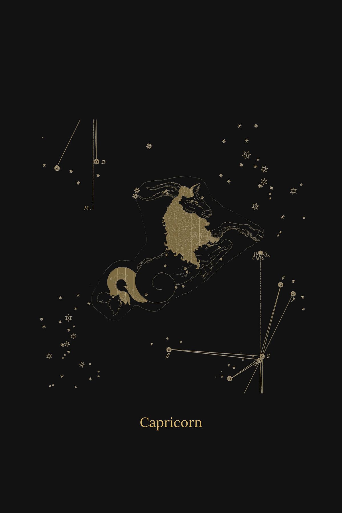 Zuben Zodiac Black Handwoven Embroidered Saree - image 22