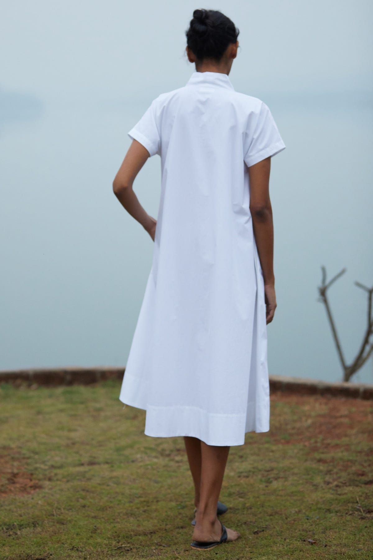 Pina - image 4
