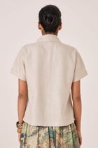 Aavish Beige Linen Top view 7