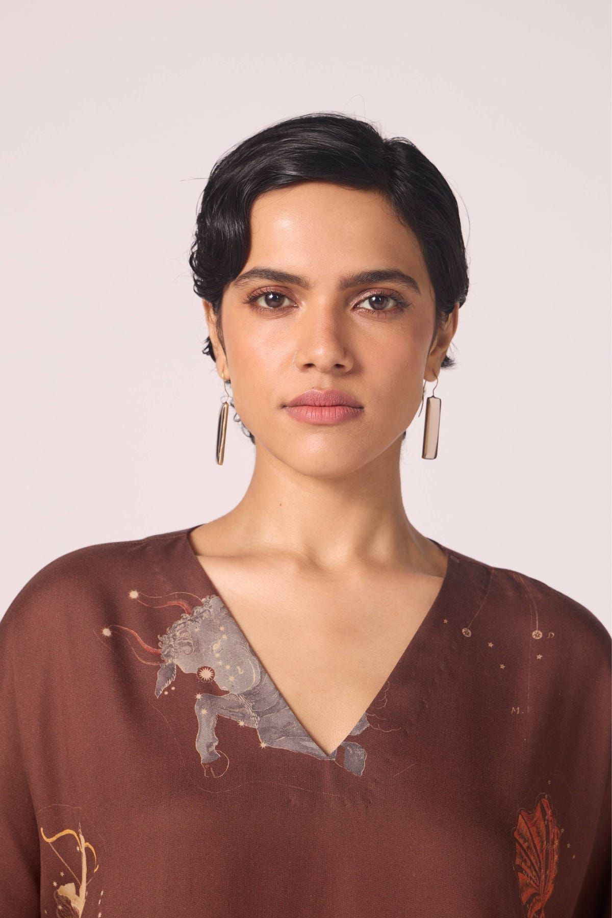 Stad Brown Zodiac Print Shift Dress - image 4