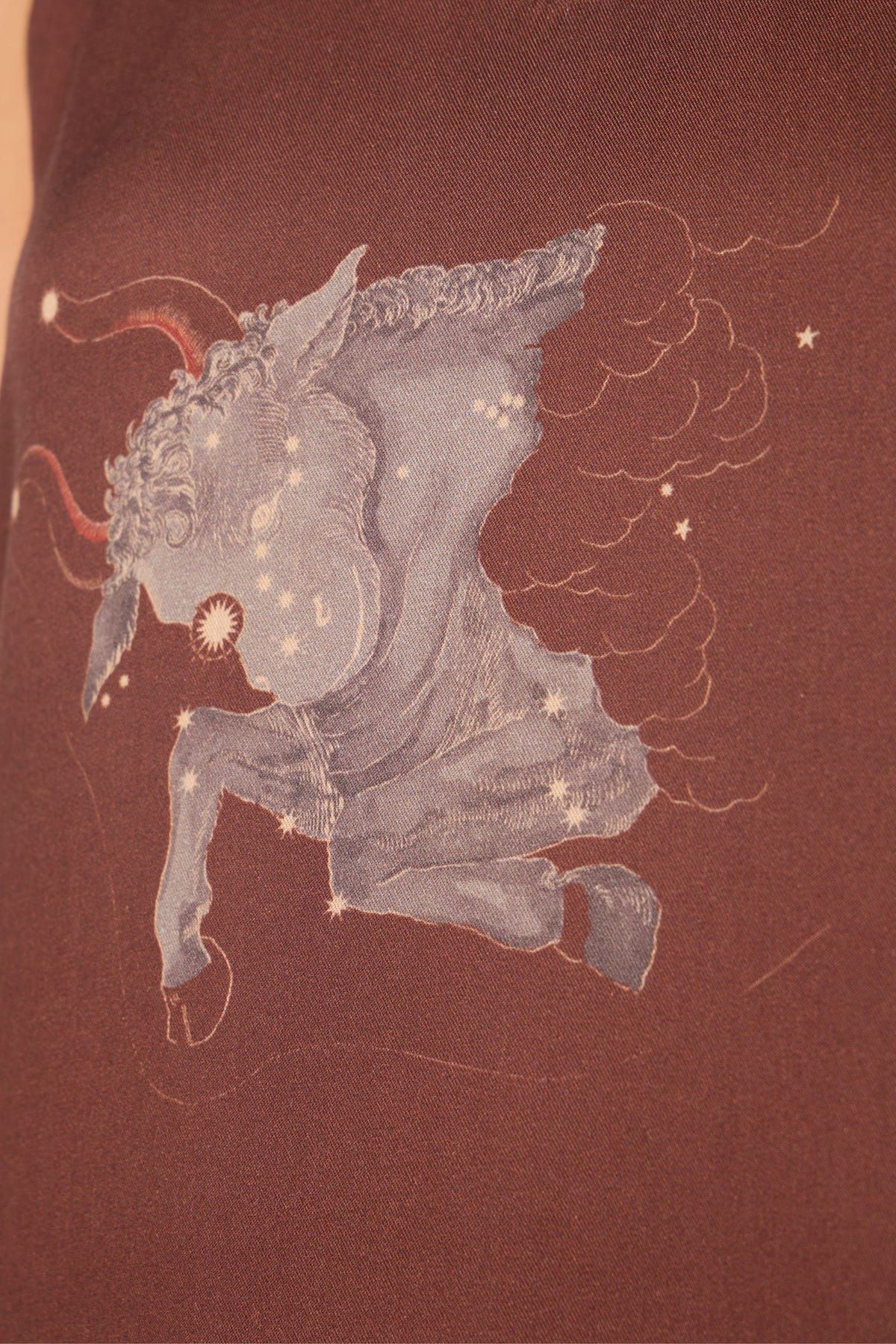 Stad Brown Zodiac Print Shift Dress - image 10