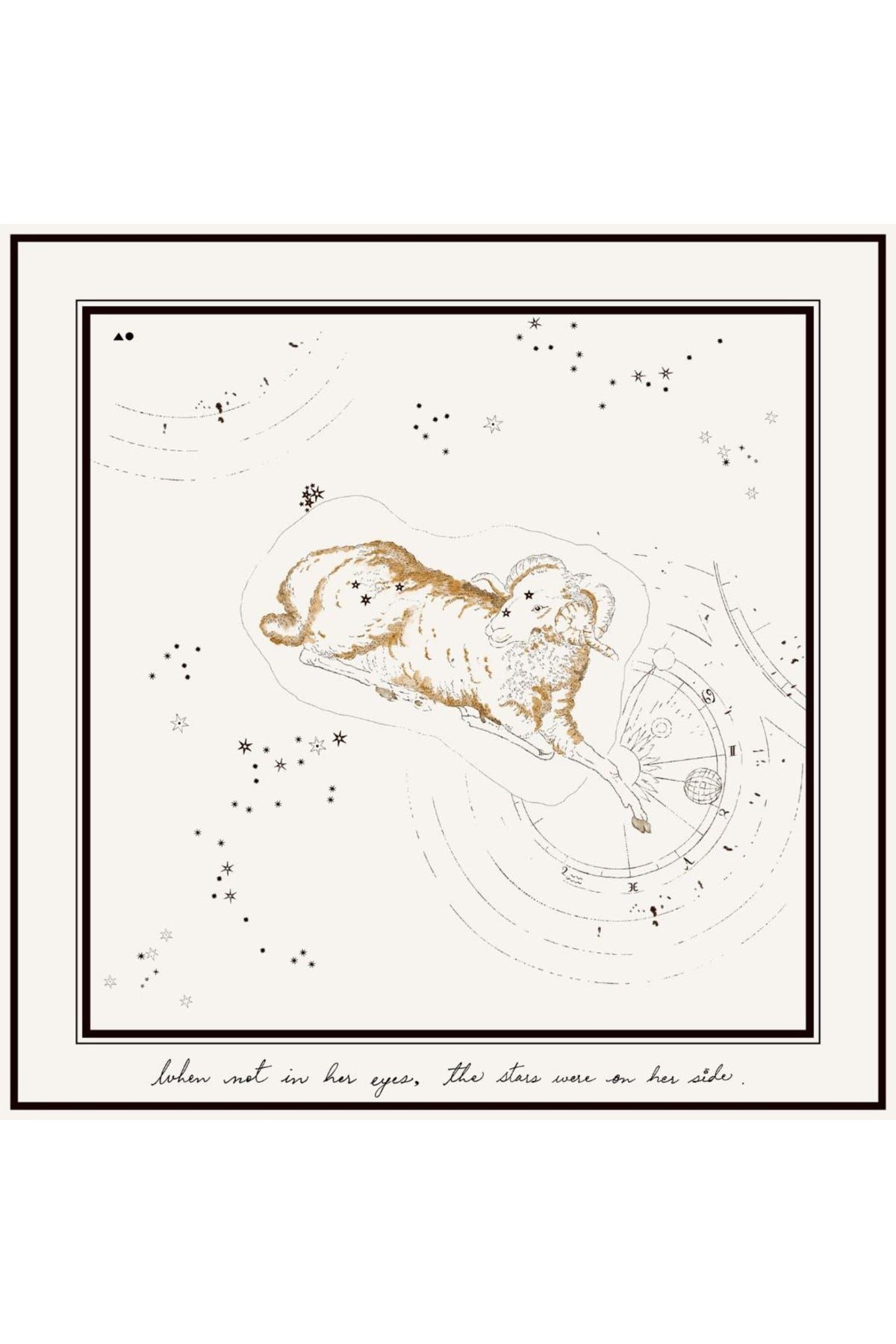 Aries Printed Satin Scarf - image 2