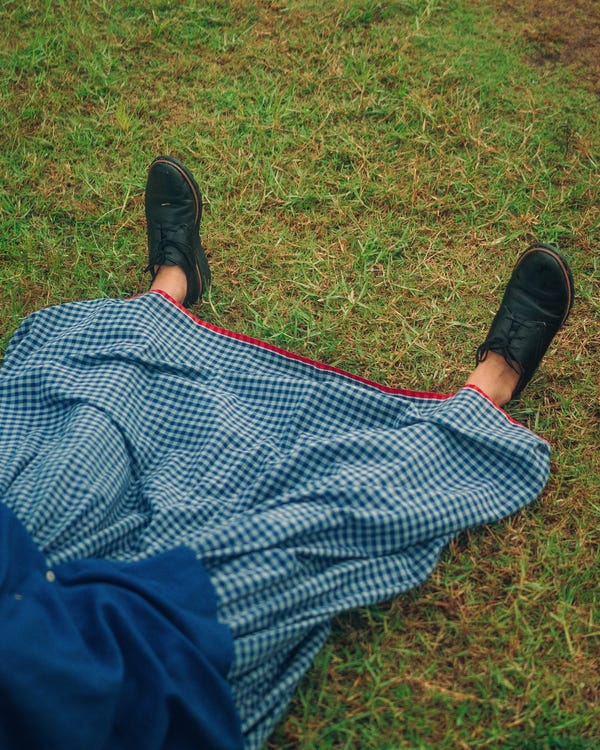 Tree and Poetry — Blueberry checks skirt