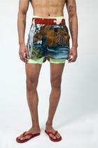 Ranthambore Safari Shorts view 1